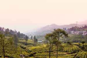 Sebelum ke Bandara, Jangan Lupa Kunjungi 5 Tempat Asyik di Bogor