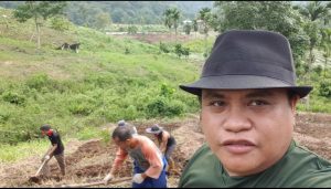 Verry Mulyadi Panen Bawang Kualitas Super di Padayo Indarung