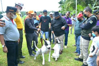 Berantas Rabies, Pemprov Rangkul Pegiat Porbbi Sumbar