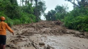 Akses Jalan Terputus, Puluhan Rumah dan KK Terdampak Banjir dan Longsor