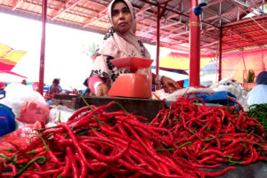 Merangkak Naik, Harga Cabai di Koto Tinggi Capai Rp45 per Kg