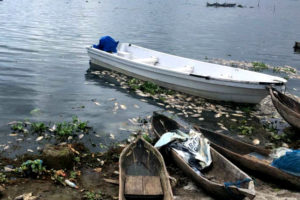 Ikan Mati di Danau Capai 552 Ton, Pemilik KJA Mengaku Tak Jera