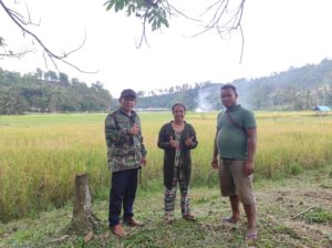 Digelar Diawal Tahun, Buru Alek Batu Balang Diisi Kesenian Tradisional