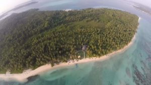 Pemkab Mentawai Usulkan Pelepasan Hutan Seluas 124 ribu Hektar ke Pusat