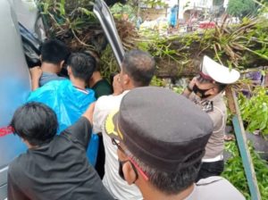 Mobil Tertimpa Pohon, Bocah 2 Tahun Meninggal Dunia