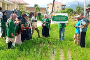 Bantu Basmi Hama, Mahasiswa KKN di Padang Racik Pestisida Sederhana