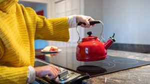 Program Kompor Listrik Induksi Telah Resmi Dibatalkan Oleh PLN  Setelah Mengundang Pro dan Kontra