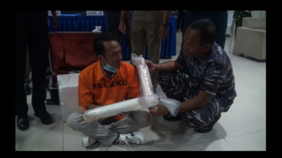 Petugas Bea Cukai dan TNI AL Berhasil Menggagalkan Penyeludupan Baby Lobster Sebanyak 26.433 ekor