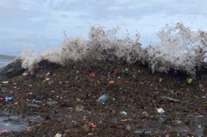 Sampah 30 Ton Lebih Menggunung di Pantai Padang, Warga Bagian Hulu Dituding Jadi Pelaku