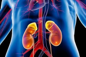 7 Tanda Ginjal Bermasalah, Mulai dari Kaki Bengkak Hingga Warna Urine Yang Tidak Normal