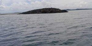Munculnya Pulau Baru Usai Gempa M 7,5 Maluku