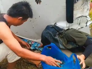 Mobil Angkut Uang Rp 25,5 M Milik BRI Terbalik di Padang Pariaman