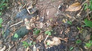 Cekcok Usai Mengantar Istri Melahirkan,Suami di Temukan Tinggal Tulang