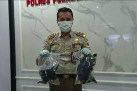 Kurir Yang Membawa 51 Ekor Burung Gagak Hitam Berhasil Ditangkap Dipelabuhan Tanjung Perak