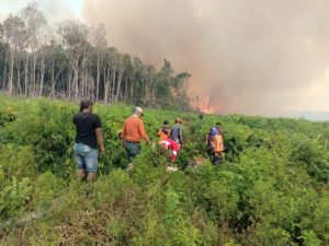 Ratusan Hektar Lahan Sawit Terbakar di Kecamatan Silaut Pessel