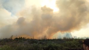 Atasi Kabakaran Lahan, Personel Balai Pengendalian Perubahan Iklim dan Karhutla wilayah Sumatera Turun ke sumbar