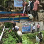 Wujudkan Kemajuan Sektor Perikanan Dan Ketahanan Pangan, Wali Nagari Tanbertara Serahkan Indukan Nila, Belut Ke 4 Pokdakan