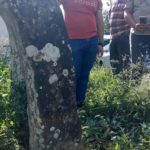 Ketua DPRD Sumbar Kunjungi Situs Menhir Ampang Gadang