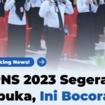 Syarat dan Cara Daftar CPNS 2024 Terbaru: Pendaftaran Dibuka Minggu Pertama Agustus