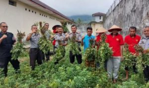 Kreativitas WBP: Pengolahan Kacang Tanah untuk Dukung Ketahanan Pangan dan Jadi Produk UMKM Rutan Kelas IIB Lubuk Sikaping