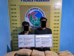Satresnarkoba Polres Pasaman Tangkap Dua Pengedar Ganja di Jalan Lintas Rao–Rokan Hulu