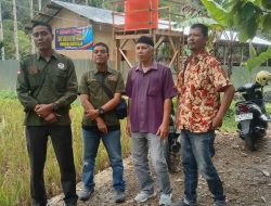 BUMNag Pauah Kembangkan Usaha Ayam Petelur untuk Dukung Program Gizi Masyarakat