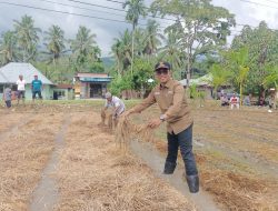 Sekolah Lapang di Panti Selatan Dorong Petani Kembangkan Pertanian Efisien dan Berkelanjutan