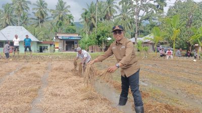 Sekolah Lapang di Panti Selatan Dorong Petani Kembangkan Pertanian Efisien dan Berkelanjutan