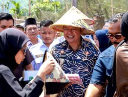 Bupati Welly Suhery Pastikan Ketersediaan dan HET Pupuk Bersubsidi untuk Petani