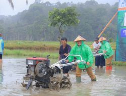 Program Bajak Gratis Resmi Bergulir, Bupati Welly: “Ini Bukti Kepedulian Kita pada Petani Kurang Mampu”