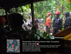 Hujan Ekstrem Sebabkan Longsor dan Pohon Tumbang di Sejumlah Titik di Pasaman