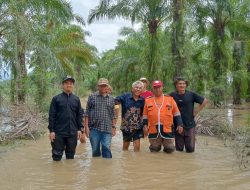Ketua DPRD Pasaman Tinjau Lokasi Banjir: Pastikan Respons Cepat dan Penanganan Terpadu di Wilayah Terdampak