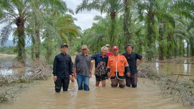 Ketua DPRD Pasaman Tinjau Lokasi Banjir: Pastikan Respons Cepat dan Penanganan Terpadu di Wilayah Terdampak