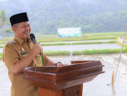 Bupati Welly Berjuang dan Minta Dukungan Kementan, Sejumlah Alsintan Disalurkan