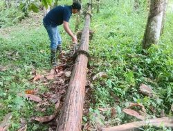 Gerak Cepat Pemeliharaan Pipa Kapalo Banda, Perumda Tirta Saiyo Diapresiasi Apresiasi