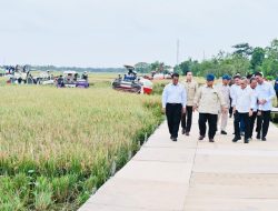 Presiden Prabowo Umumkan Indonesia Resmi Swasembada Pangan 2025