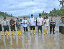 Pemerintah Mulai Melakukan Rehabilitasi Lahan Pertanian Terdampak Bencana di Sumbar