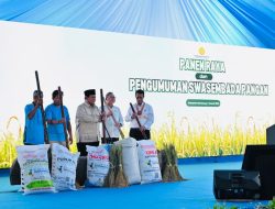 Indonesia Resmi Swasembada Pangan 2025, Produksi Beras Tertinggi Sepanjang Sejarah
