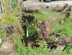 Perumda Tirta Saiyo Pasaman Tanggap Atasi Kebocoran Pipa di Lubuk Sikaping   