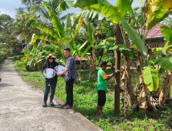 Jelang Ramadan, Endarmy Wujudkan Aspirasi Warga Soal Lampu Jalan