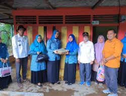 Ketua TP PKK Pasaman Tinjau Korban Banjir di Alahan Mati, Salurkan Bantuan Sembako dan APE