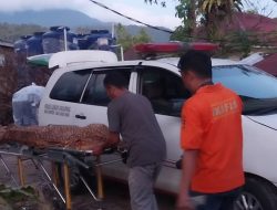 Breaking News: Anak 14 Tahun Ditemukan Meninggal di Batang Sumpur, Kampung Padang Pasaman