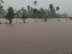 Hujan Deras Picu Sungai Meluap di Pasaman, Dua Warga Pasaman Barat Hanyut   