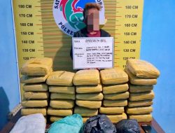 Polisi Gagalkan Penyelundupan 32 Paket Ganja di Jalintas Sumatera Pasaman