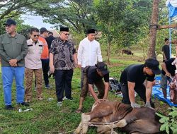 Ketua DPRD Sumbar Apresiasi Semangat Kurban Bank Nagari yang Terus Meningkat