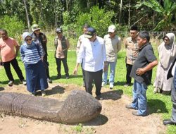 Gubernur Mahyeldi Tinjau Situs Menhir Maek, Tegaskan Bukti Peradaban Tua Minangkabau