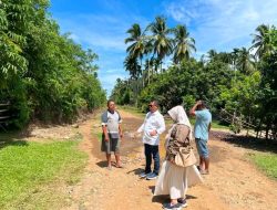 Wabup Pessel Risnaldi Ibrahim Tinjau Ruas Jalan Simpang Transad – Lubuk Sapek di Airpura