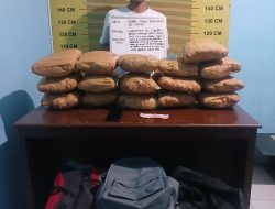 Satresnarkoba Polres Pasaman Tangkap Kurir Ganja, 16 Paket Besar Diamankan