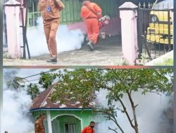 DBD di Wilayah Puskesmas Sundata Berstatus KLB, Satu Warga Meninggal, Dinkes Pasaman Gerak Cepat