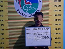 Tim Elang Timur Polres Pasaman Bekuk Pengedar Ganja, Dua Paket Besar Diamankan